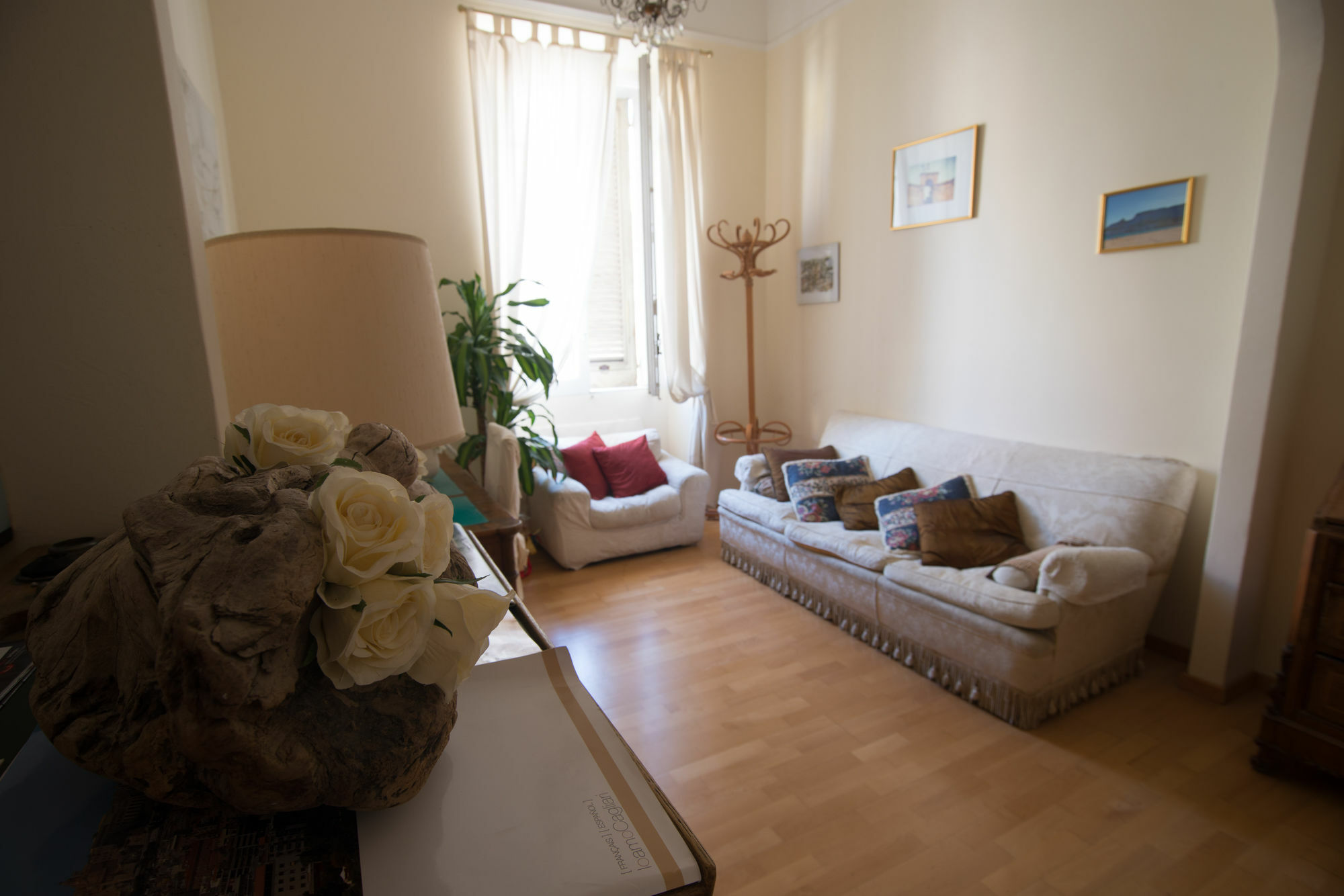 Pley Boutique Del Centro